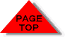 PAGE TOP